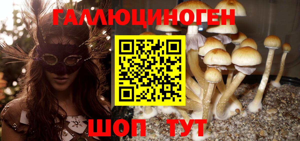 Отрадное  Псилоцибиновые грибы Psilocybine cubensis  Вход с VPN 
