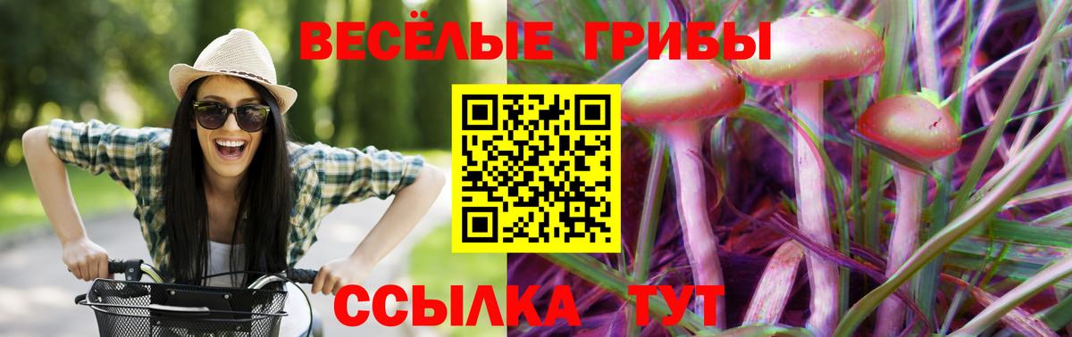 Псилоцибиновые грибы мухоморы Отрадное